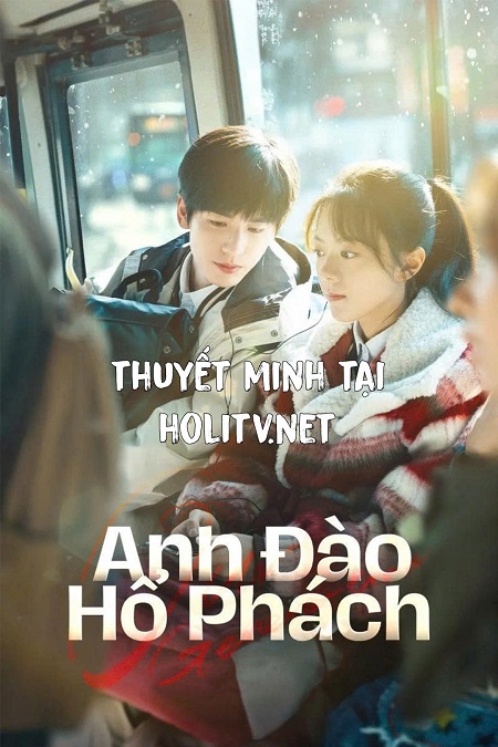 Anh Đào Hổ Phách