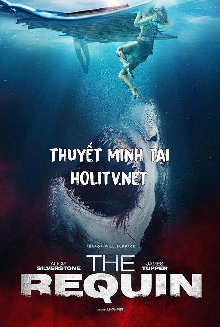 Cá Mập Trắng Khổng Lồ