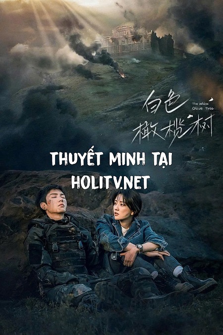 Cây Ô Liu Màu Trắng