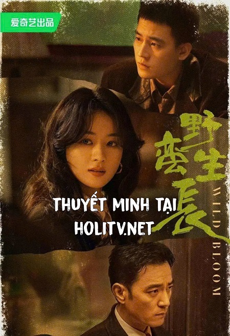 Gió Thổi Bán Hạ