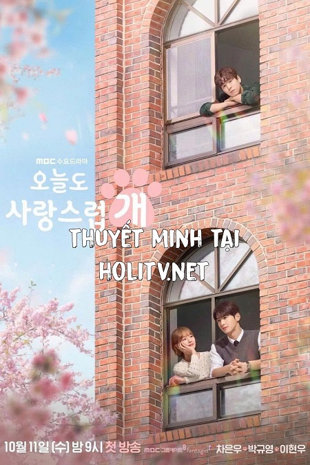 Ngày Tuyệt Vời Để Trở Thành Cún